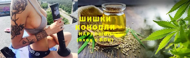 Канабис план  где купить наркоту  Шахты 